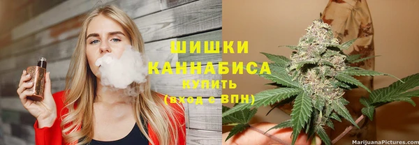 гидропоника Ельня