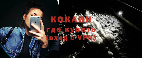 индика Балахна