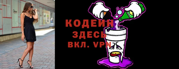 индика Балахна