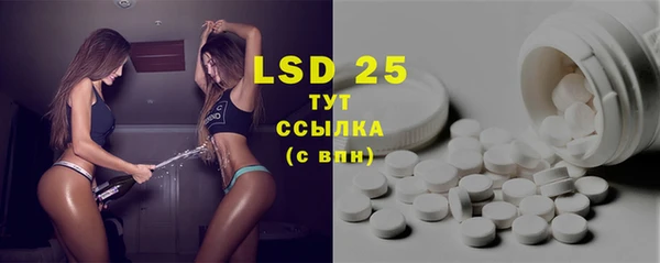 ECSTASY Гусь-Хрустальный