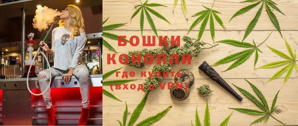 индика Балахна