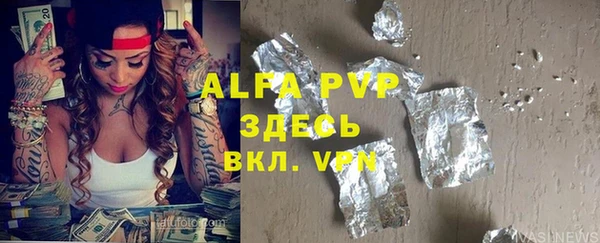 индика Балахна