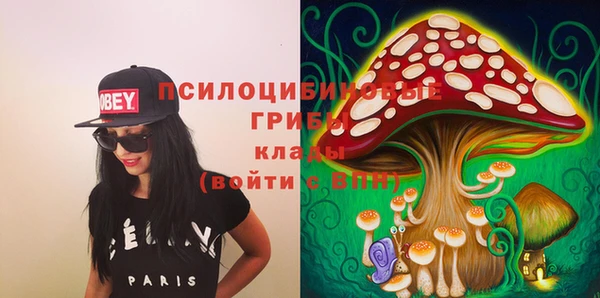 мет Аркадак