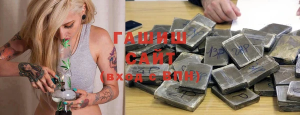 индика Балахна