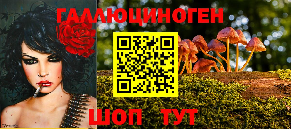 Галлюциногенные грибы ЛСД Белово